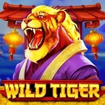 Aplicativo De Login Do TAMA99 Casino